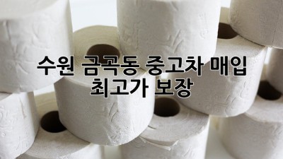수원 금곡동 중고차 매입, 최고가 보장!