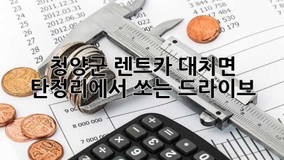 청양군 렌트카: 대치면 탄정리에서 쏘는 드라이브!🚗💨
